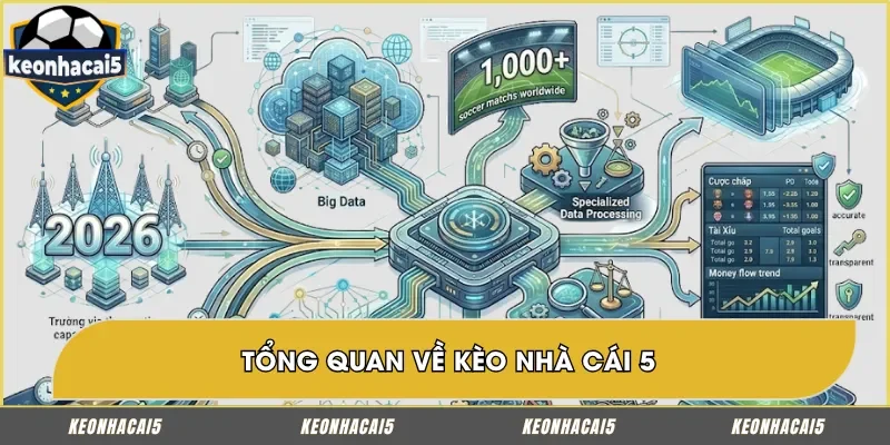 Sơ lược thông tin sơ lược về keo nha cai 5