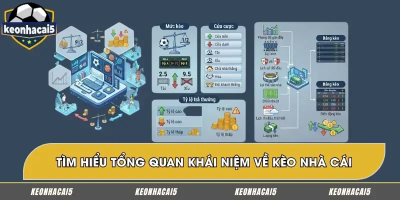 Khám phá tổng quan về kèo nhà cái