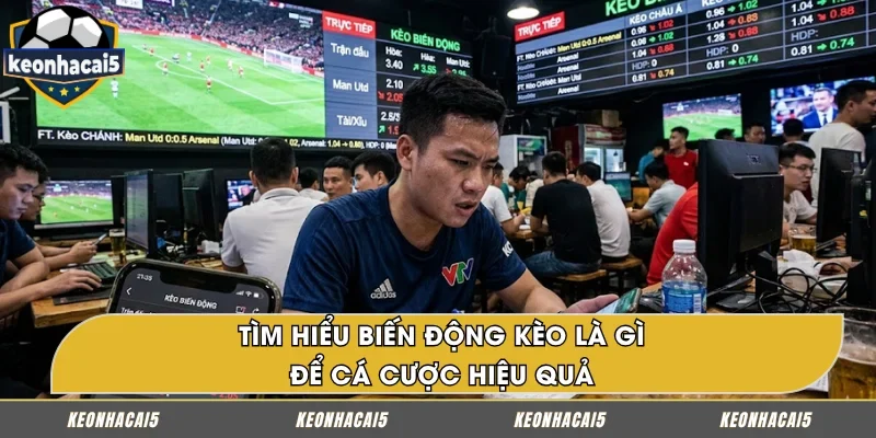 Biến động kèo là gì – chỉ sự thay đổi của tỷ lệ cược, Odds hoặc mức chấp