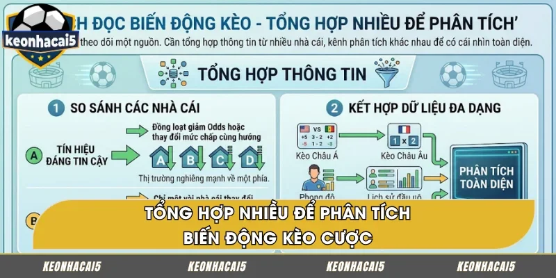 Cách đọc biến động kèo - tổng hợp nhiều nguồn để phân tích