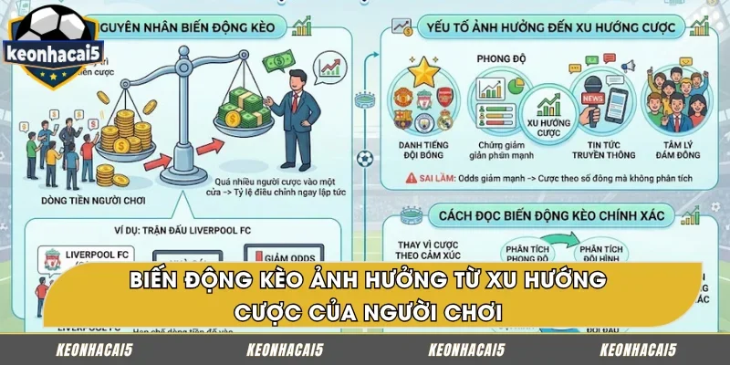 Xu hướng đặt cược của người chơi ảnh hưởng đến biến động kèo