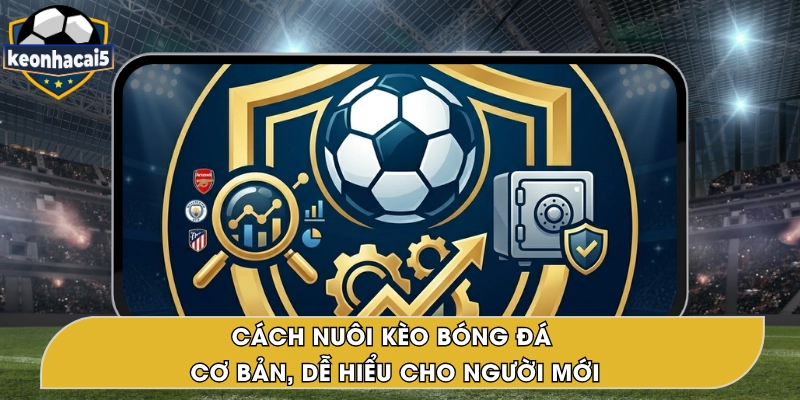 Cách Nuôi Kèo Bóng Đá Dễ Hiểu An Toàn, Đúng Chiến Lược