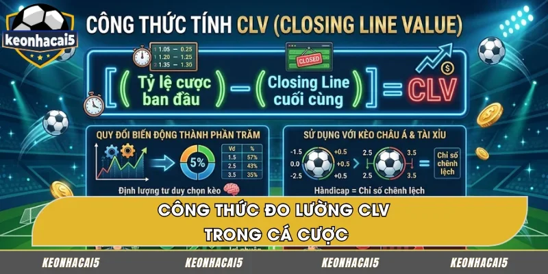 Hướng dẫn phương pháp tính CLV là gì