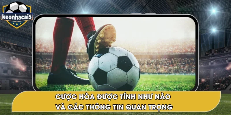 Cược Hòa Được Tính Như Nào? Phân Tích Chi Tiết Chỉ 1s