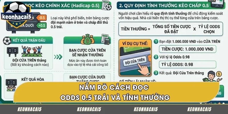 Cách đọc kèo chấp 1/2 và tính thưởng dễ dàng