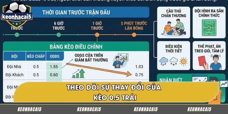 Bạn cần theo dõi sự thay đổi trên bảng kèo chấp 0.5