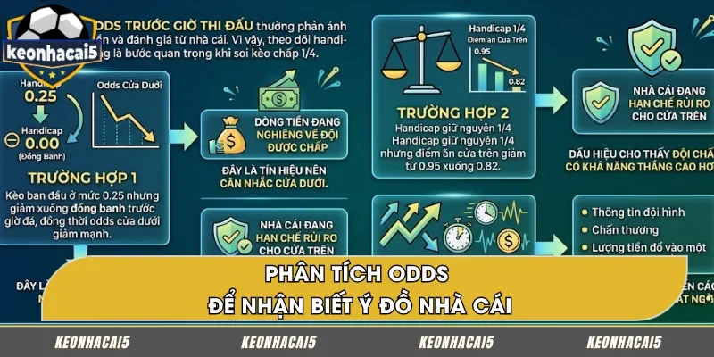 Xem odds để đoán xu hướng kèo