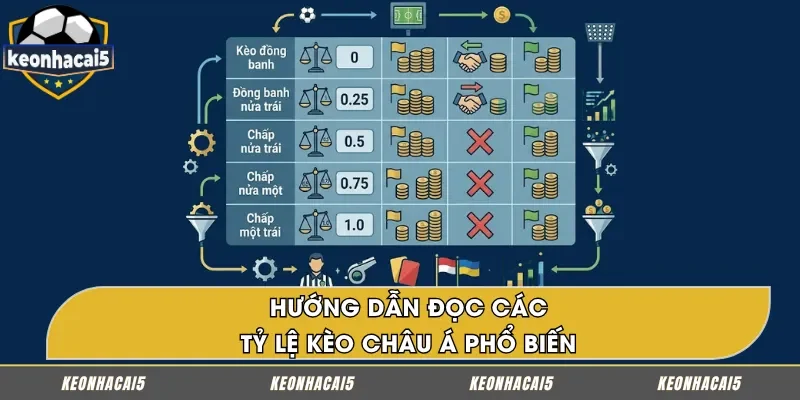 Cách xem các mức tỷ lệ kèo Châu Á thông dụng