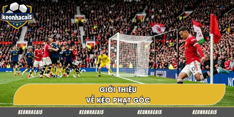 Sơ lược về kèo phạt góc