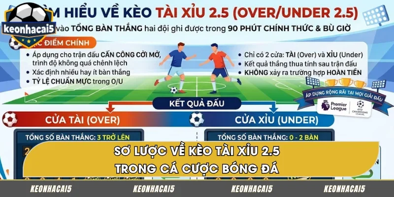 Hiểu rõ về kèo Tài Xỉu 2.5 trong bóng đá