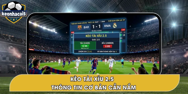 Kèo Tài Xỉu 2.5 – Cách Đọc & Kinh Nghiệm Cược Chuẩn Xác