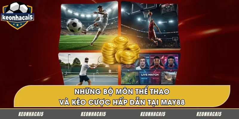 Các bộ môn thể thao và loại kèo nổi bật