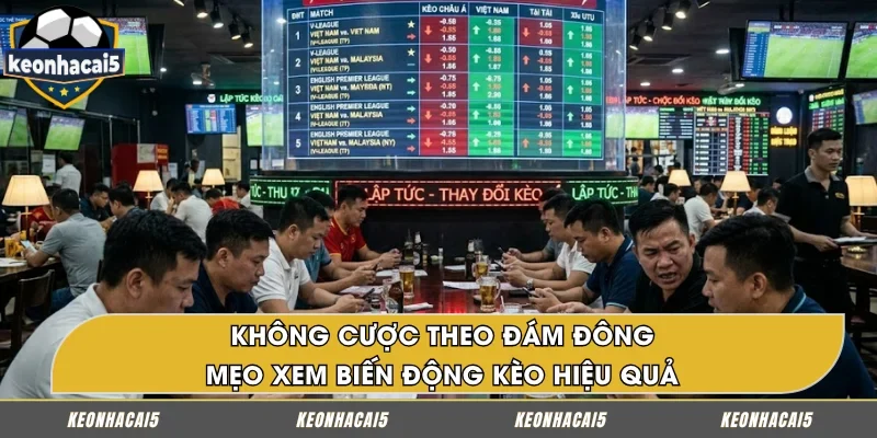 Chú ý không đặt kèo theo hiệu ứng đám đông
