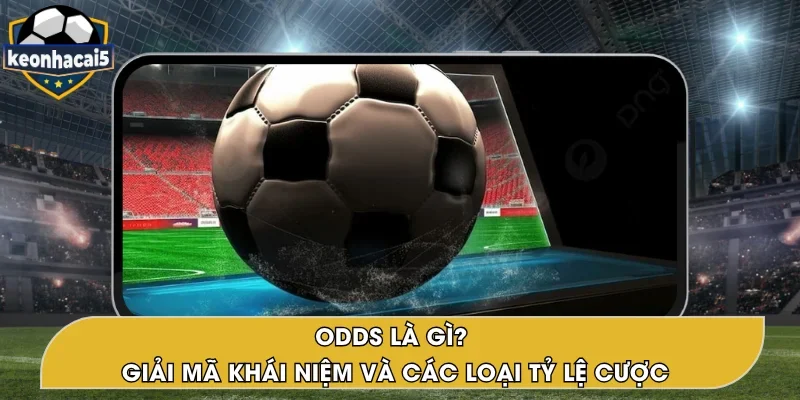 Odds Là Gì? Khái Niệm Và Các Loại Tỷ Lệ Cược Phổ Biến