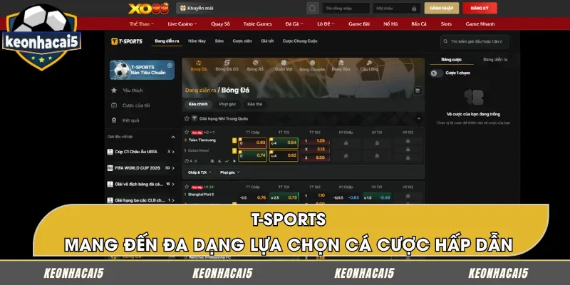 T-Sports: Đa dạng hóa danh mục đầu tư