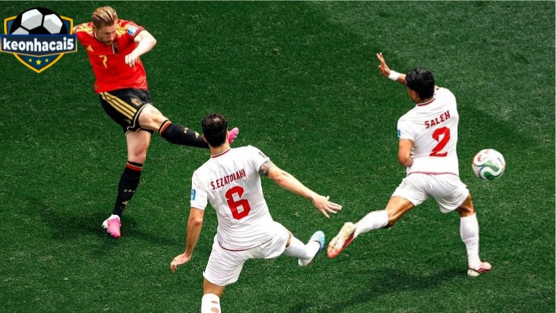 New Zealand vs Bỉ