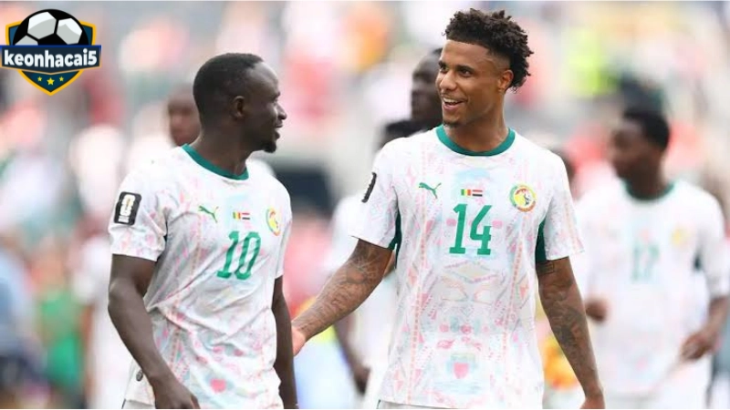 Bỉ vs Senegal